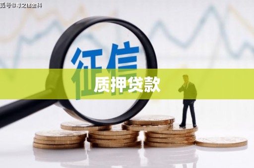 永川质押贷款