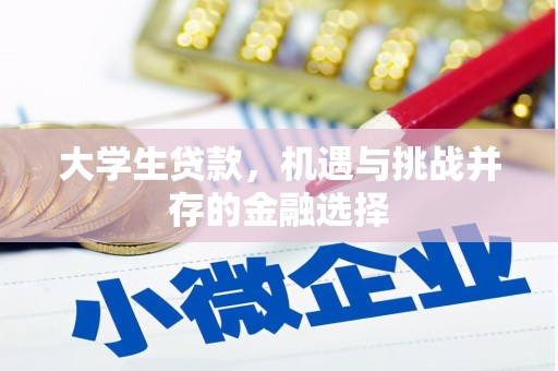 永川大学生贷款，机遇与挑战并存的金融选择
