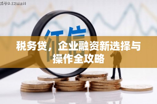 永川税务贷，企业融资新选择与操作全攻略
