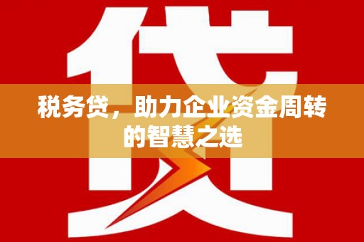 永川税务贷，助力企业资金周转的智慧之选