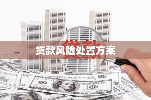 永川贷款风险处置方案