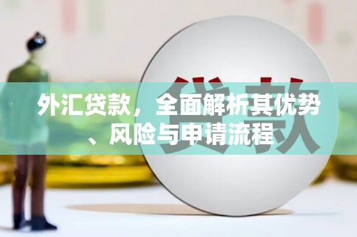 永川外汇贷款，全面解析其优势、风险与申请流程