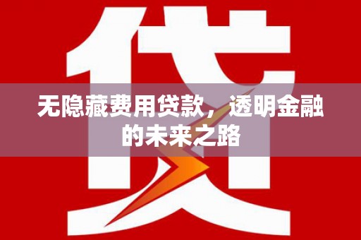 永川无隐藏费用贷款，透明金融的未来之路