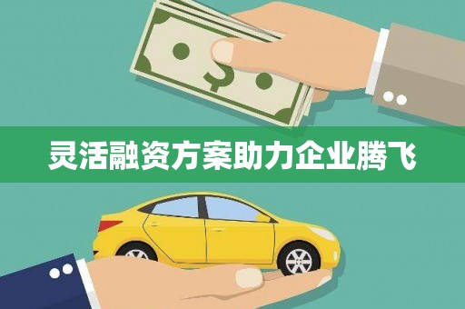 永川灵活融资方案助力企业腾飞