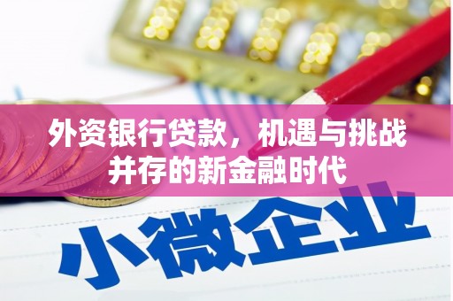 永川外资银行贷款，机遇与挑战并存的新金融时代