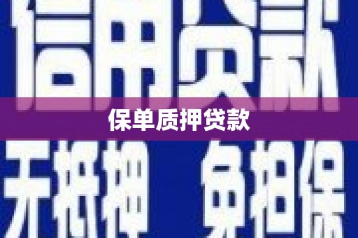 永川保单质押贷款
