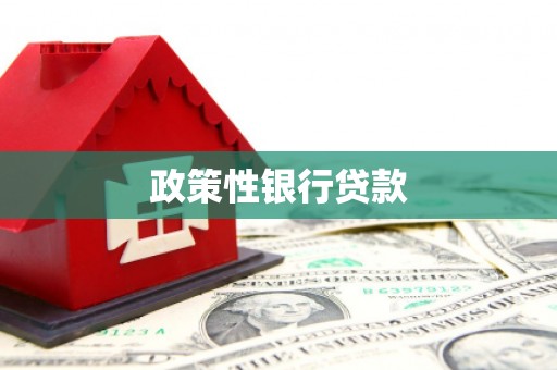 永川政策性银行贷款