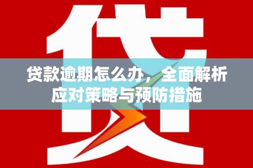 永川贷款逾期怎么办，全面解析应对策略与预防措施