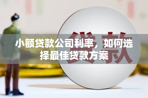 永川小额贷款公司利率，如何选择最佳贷款方案