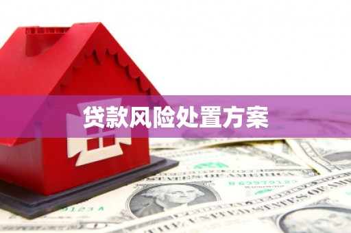 永川贷款风险处置方案