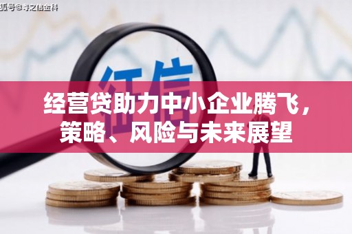 永川经营贷助力中小企业腾飞，策略、风险与未来展望