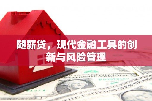 永川随薪贷，现代金融工具的创新与风险管理