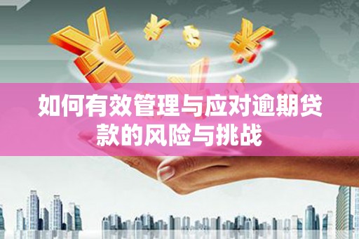 永川如何有效管理与应对逾期贷款的风险与挑战