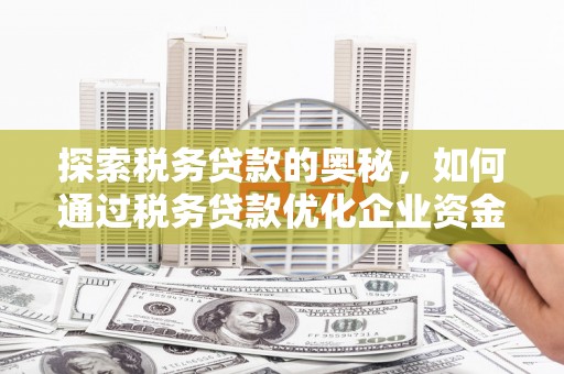 永川探索税务贷款的奥秘，如何通过税务贷款优化企业资金流