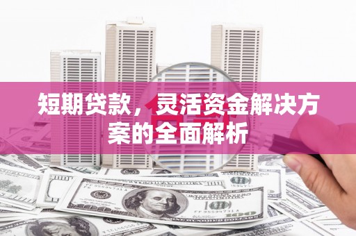 永川短期贷款，灵活资金解决方案的全面解析