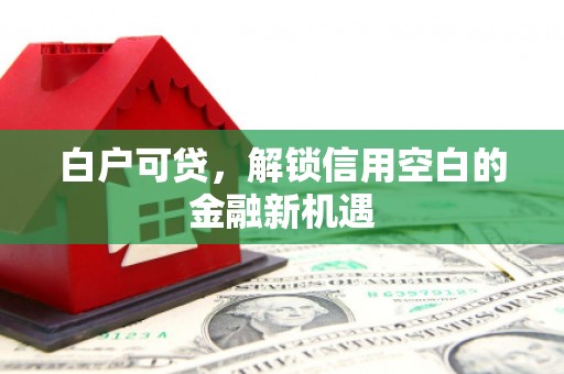 永川白户可贷，解锁信用空白的金融新机遇