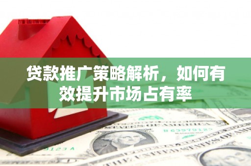 永川贷款推广策略解析，如何有效提升市场占有率