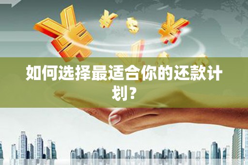 永川如何选择最适合你的还款计划？