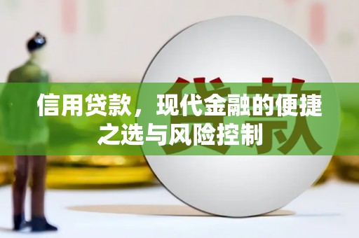 永川信用贷款，现代金融的便捷之选与风险控制