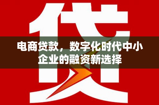 永川电商贷款，数字化时代中小企业的融资新选择
