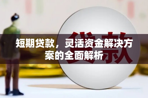 永川短期贷款，灵活资金解决方案的全面解析