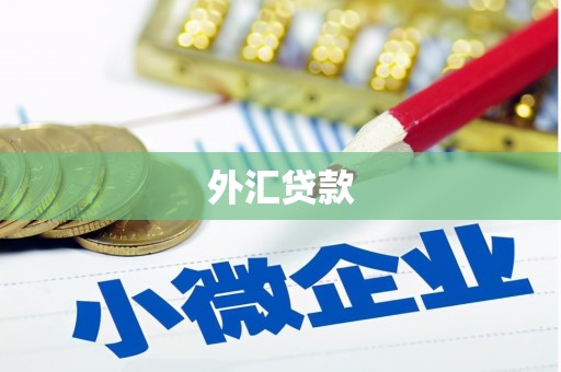 永川外汇贷款