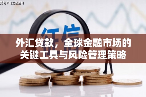 永川外汇贷款，全球金融市场的关键工具与风险管理策略
