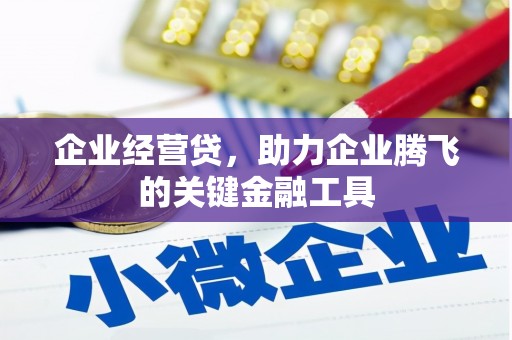 永川企业经营贷，助力企业腾飞的关键金融工具