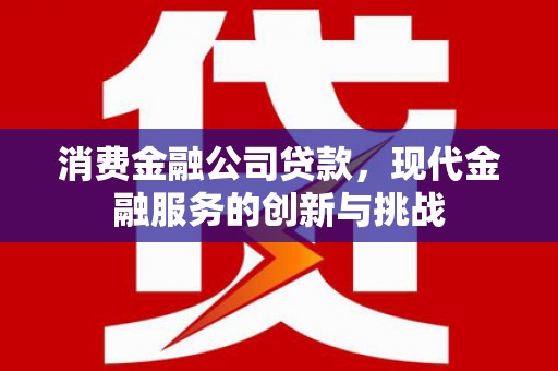 永川消费金融公司贷款，现代金融服务的创新与挑战