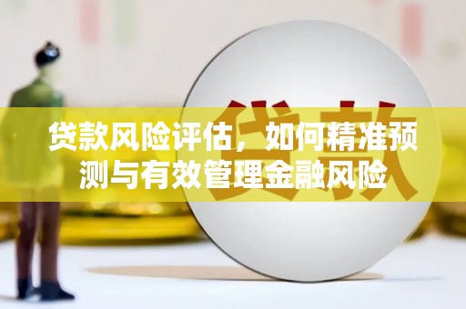 永川贷款风险评估，如何精准预测与有效管理金融风险