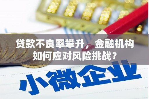 永川贷款不良率攀升，金融机构如何应对风险挑战？