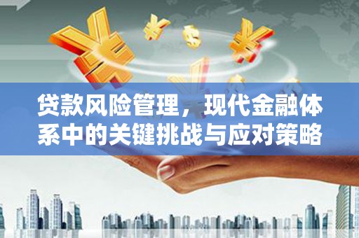 永川贷款风险管理，现代金融体系中的关键挑战与应对策略