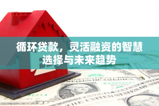 永川循环贷款，灵活融资的智慧选择与未来趋势
