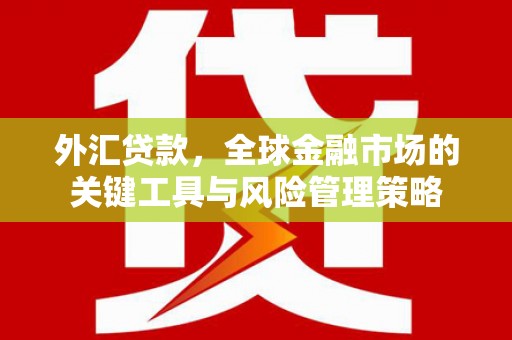 永川外汇贷款，全球金融市场的关键工具与风险管理策略