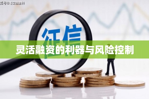 永川灵活融资的利器与风险控制