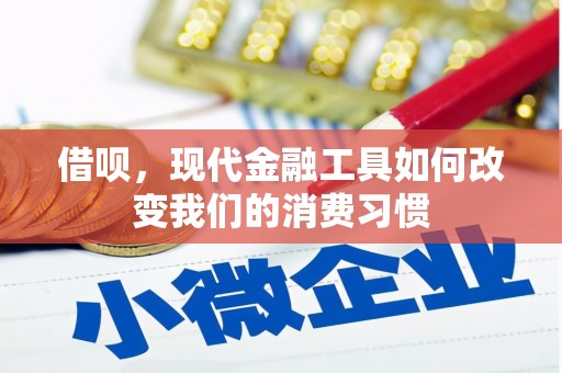 永川借呗，现代金融工具如何改变我们的消费习惯