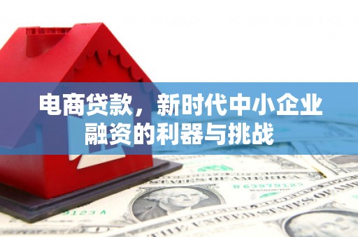 永川电商贷款，新时代中小企业融资的利器与挑战