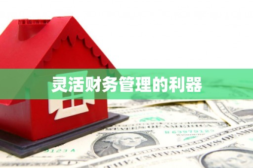 永川灵活财务管理的利器