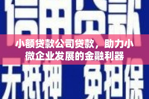 永川小额贷款公司贷款，助力小微企业发展的金融利器