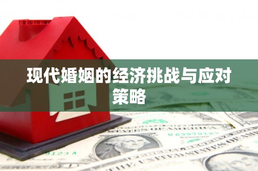 永川现代婚姻的经济挑战与应对策略
