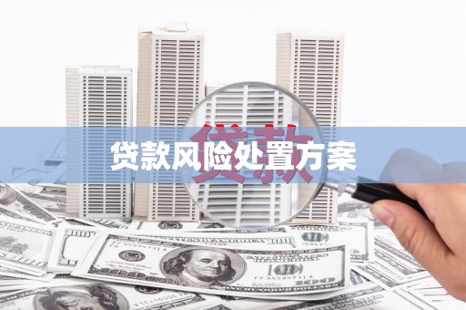 永川贷款风险处置方案