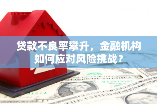 永川贷款不良率攀升，金融机构如何应对风险挑战？