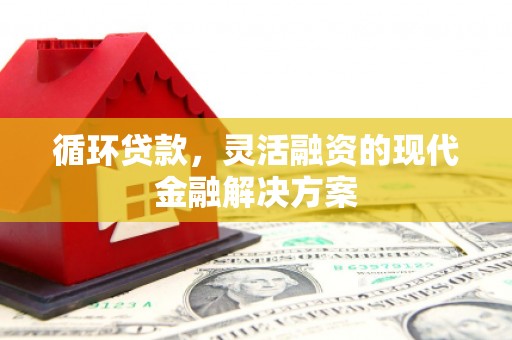 永川循环贷款，灵活融资的现代金融解决方案