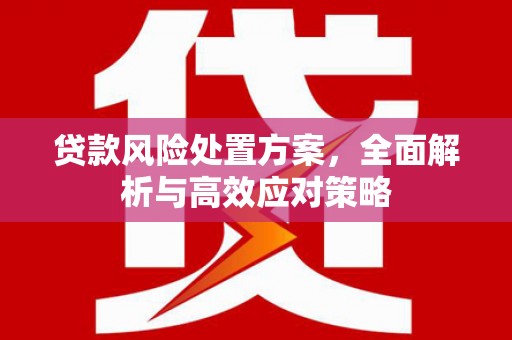 永川贷款风险处置方案，全面解析与高效应对策略