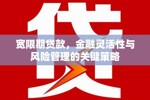 永川宽限期贷款，金融灵活性与风险管理的关键策略