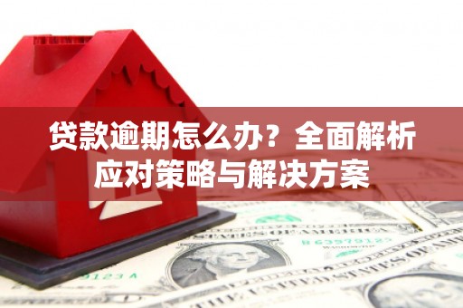 永川贷款逾期怎么办？全面解析应对策略与解决方案