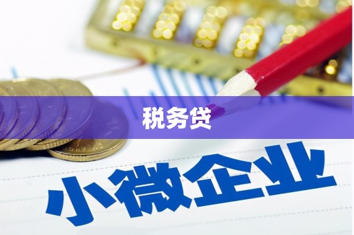 永川税务贷