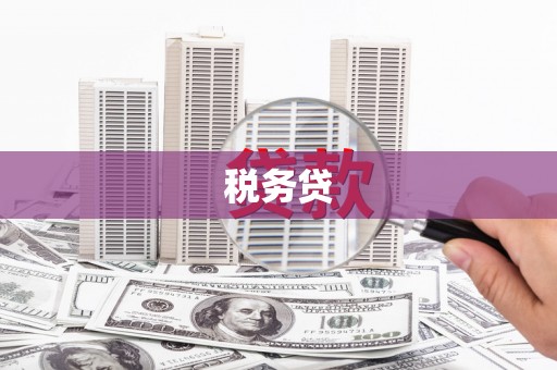 永川税务贷