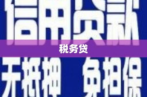 永川税务贷