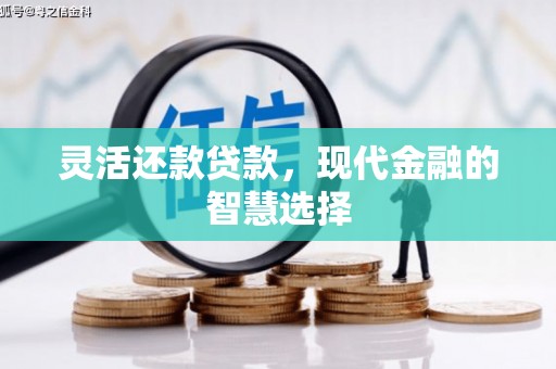 永川灵活还款贷款，现代金融的智慧选择